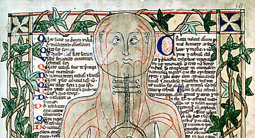 [Translate to English:] -